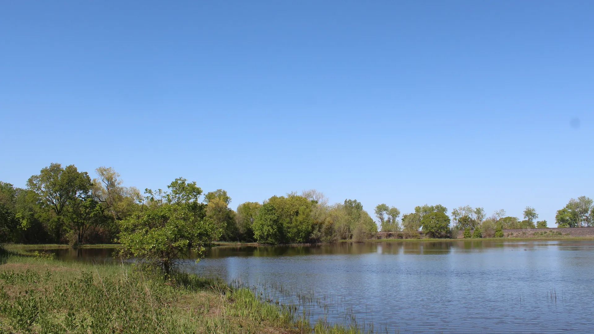 A pond ringed by trees at the Cosumnes River Preserve near Galt, California, on the valley floor west of town